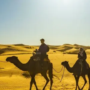 Explore 3 Days Sahara Desert Tour from Marrakech to Fes for 3 days with Guided Morocco Tours and discover unforgettable experiences - Photo 11