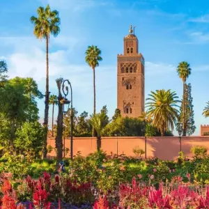 Explore Totally Morocco - 10 Days Private Tour from Marrakech for 10 days with Guided Morocco Tours and discover unforgettable experiences - Photo 11