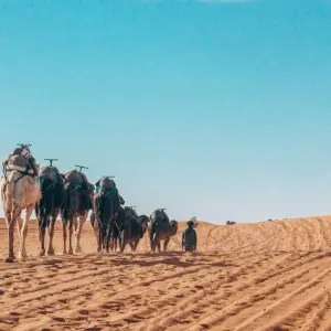 Explore One Week Morocco Tour from Marrakech for 7 days with Guided Morocco Tours and discover unforgettable experiences - Photo 5