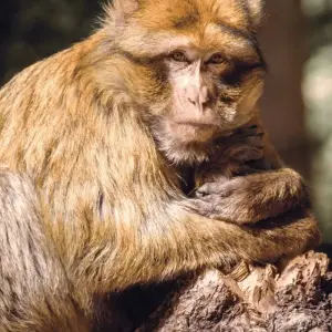 Explore Grand 15 Days Private Tour from Casablanca for 15 days with Guided Morocco Tours and discover unforgettable experiences - Photo 5