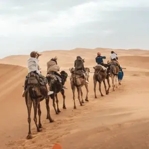 Explore 7 Days Tour From Casablanca to Marrakech via the Desert for 7 days with Guided Morocco Tours and discover unforgettable experiences - Photo 9