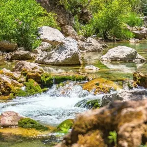 Explore 11 Day Private Tour from Fes - Imperial Cities & Desert for 11 days with Guided Morocco Tours and discover unforgettable experiences - Photo 10