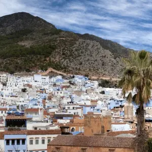 Explore ​8 Days Tour from Tangier to Marrakech for 8 days with Guided Morocco Tours and discover unforgettable experiences - Photo 9