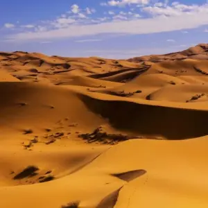 Explore 7 Days Tour from Tangier to Casablanca for 7 days with Guided Morocco Tours and discover unforgettable experiences - Photo 5