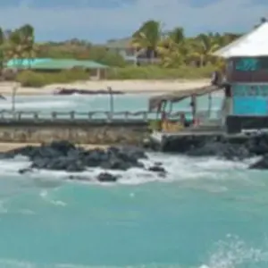 Explore Ecuador complete experience Highlands, Amazon & Galapagos - 15 days for 15 days with Gulliver Expeditions and discover unforgettable experiences - Photo 3