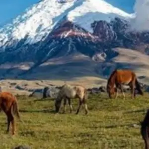 Explore Ecuador Wonders: Highlands and Amazon 10 days for 10 days with Gulliver Expeditions and discover unforgettable experiences - Photo 3