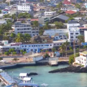 Explore Ecuador complete experience Highlands, Amazon & Galapagos - 15 days for 15 days with Gulliver Expeditions and discover unforgettable experiences - Photo 4