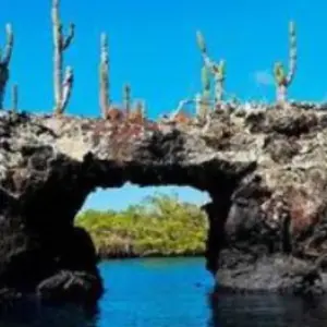 Explore Galapagos complete adventure 3 islands - 10 days for 10 days with Gulliver Expeditions and discover unforgettable experiences - Photo 3