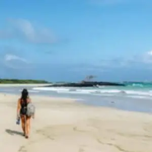 Explore Galapagos complete adventure 3 islands - 10 days for 10 days with Gulliver Expeditions and discover unforgettable experiences - Photo 4