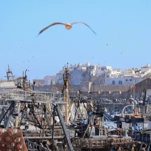 Explore 9 Day Private Tour from Tangier to Marrakech for 9 days with Guided Morocco Tours and discover unforgettable experiences - Photo 9