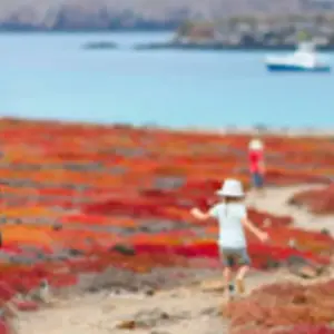 Explore Ecuador complete experience Highlands, Amazon & Galapagos - 15 days for 15 days with Gulliver Expeditions and discover unforgettable experiences - Photo 8