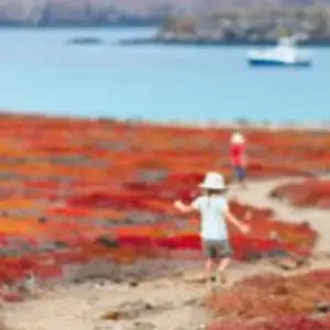 Explore Galapagos complete adventure 3 islands - 10 days for 10 days with Gulliver Expeditions and discover unforgettable experiences - Photo 10