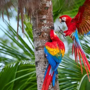 Explore Peru essentials 10 days for 10 days with Gulliver Expeditions and discover unforgettable experiences - Photo 8