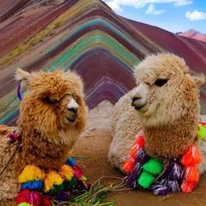 Explore Wonders Of Peru 08 Days for 8 days with Gulliver Expeditions and discover unforgettable experiences - Photo 6