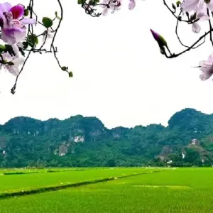 Explore 5 Day Hanoi - Ninh Binh - Halong Bay Tour for 5 days with Ha Long Bay Lux Cruises Tours and discover unforgettable experiences - Photo 3