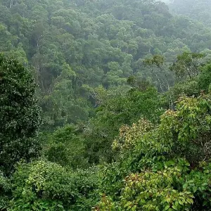 Explore Madagascar Wildlife Safari Tour (Available all year) for 14 days with HT Agency Tours and discover unforgettable experiences - Photo 5