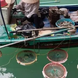 Explore Ha Long Bay Full Day Cruise, Cave, Kayaking, Swimming, Lunch, Bus for 1 days with Ha Long Bay Lux Cruises Tours and discover unforgettable experiences - Photo 6