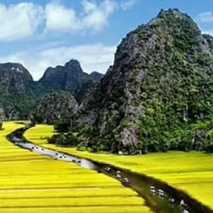 Explore Full Day Hanoi - Ninh Binh - Trang An - Bai Dinh - Mua Cave for 1 days with Ha Long Bay Lux Cruises Tours and discover unforgettable experiences - Photo 6