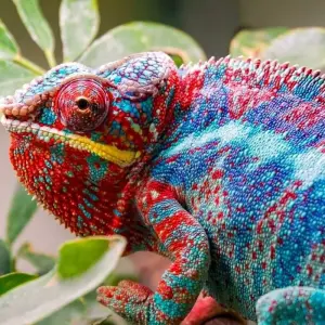 Explore Madagascar Group Safari | Classic tour for 10 days with HT Agency Tours and discover unforgettable experiences - Photo 3