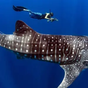 Explore Nosy Be | The perfumed Madagascar Island for 6 days with HT Agency Tours and discover unforgettable experiences - Photo 3