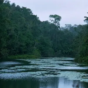 Explore Madagascar Lemurs & Baobabs (Available all year) for 8 days with HT Agency Tours and discover unforgettable experiences - Photo 4