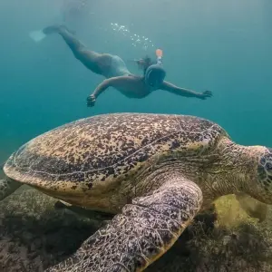 Explore Nosy Be | The perfumed Madagascar Island for 6 days with HT Agency Tours and discover unforgettable experiences - Photo 5