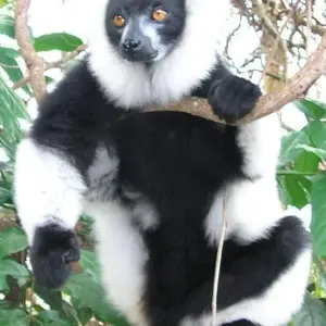 Explore The pearls of Madagascar for 12 days with HT Agency Tours and discover unforgettable experiences - Photo 5