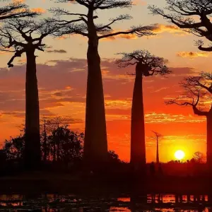 Explore The pearls of Madagascar for 12 days with HT Agency Tours and discover unforgettable experiences - Photo 6