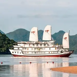 Explore 2 Day 1 Night Bai Tu Long Bay Cruise for 2 days with Ha Long Bay Lux Cruises Tours and discover unforgettable experiences - Photo 9