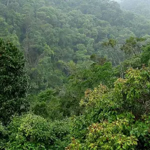 Explore Southern to the Highland for 10 days with HT Agency Tours and discover unforgettable experiences - Photo 3