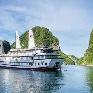 Explore 2 Day 1 Night Bai Tu Long Bay Cruise for 2 days with Ha Long Bay Lux Cruises Tours and discover unforgettable experiences - Photo 11