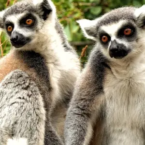 Explore St. Marie - Pangalane - Southern for 18 days with HT Agency Tours and discover unforgettable experiences - Photo 3