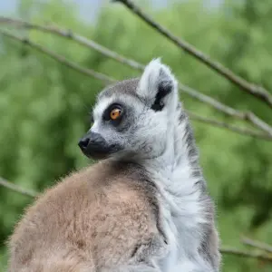 Explore Perinet - Pangalane for 5 days with HT Agency Tours and discover unforgettable experiences - Photo 5