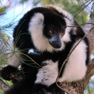 Explore St. Marie - Pangalane - Southern for 18 days with HT Agency Tours and discover unforgettable experiences - Photo 4