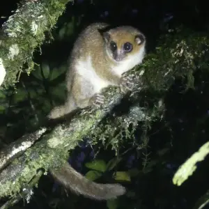 Explore Madagascar Great tour packages - ideal for senior over 50s for 15 days with HT Agency Tours and discover unforgettable experiences - Photo 5