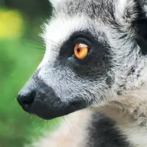 Explore Great Adventure for 15 days with HT Agency Tours and discover unforgettable experiences - Photo 6