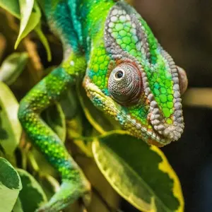 Explore Southern to the Highland for 10 days with HT Agency Tours and discover unforgettable experiences - Photo 9