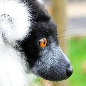 Explore Southern to the Highland for 10 days with HT Agency Tours and discover unforgettable experiences - Photo 11