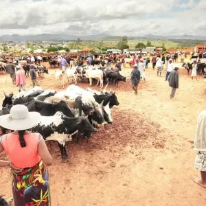 Explore 18 days Madagascar Expedition group tour departure 2025 (especially for senior traveler) for 18 days with HT Agency Tours and discover unforgettable experiences - Photo 10
