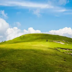 Explore Kashmir Valley Tour for 3 days with Gypsy Traces and Tours and discover unforgettable experiences - Photo 2