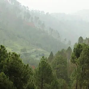 Explore Shogran and Naran Valley Tour for 4 days with Gypsy Traces and Tours and discover unforgettable experiences - Photo 4