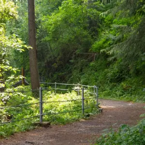 Explore Mushkpuri Top Trek Pakistan for 1 days with Gypsy Traces and Tours and discover unforgettable experiences - Photo 5