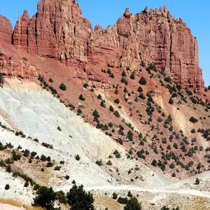 Explore Discover Afghanistan: A 5-Day Tour of Kabul, Bamyan, and Natural Marvels for 5 days with Gypsy Traces and Tours and discover unforgettable experiences - Photo 5