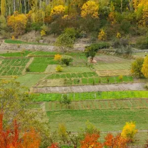 Explore Explore Hunza Valley for 8 days with Gypsy Traces and Tours and discover unforgettable experiences - Photo 7