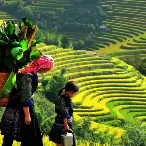 Explore 7-Day Tour of Hanoi, Halong and Sapa - best price for 7 days with Halong Tours Booking and discover unforgettable experiences - Photo 4