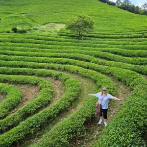 Explore 2025 Discover Korea in 7days:  A Wellness Holiday for 7 days with HanaTour ITC and discover unforgettable experiences - Photo 2