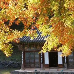 Explore 2025 Discover Western Korea in 4days:  A Wellness Holiday for 4 days with HanaTour ITC and discover unforgettable experiences - Photo 5