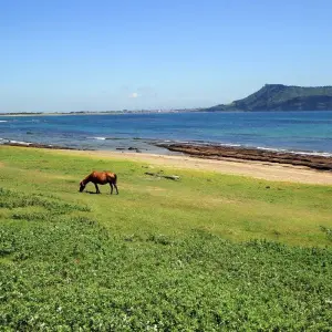 Explore 2024 Check-in Korea with Jeju Island in 16days: A Wellness Holiday for 16 days with HanaTour ITC and discover unforgettable experiences - Photo 5