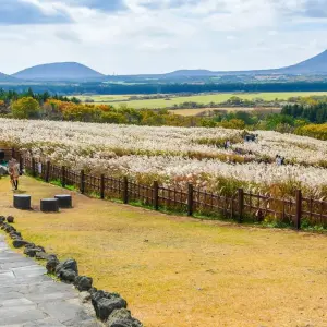 Explore 2024 Check-in Korea with Jeju Island in 16days: A Wellness Holiday for 16 days with HanaTour ITC and discover unforgettable experiences - Photo 6