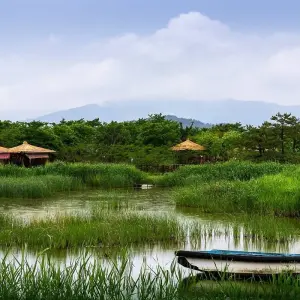 Explore 2025 Discover Western Korea in 4days:  A Wellness Holiday for 4 days with HanaTour ITC and discover unforgettable experiences - Photo 8